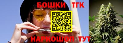 МДПВ Гусев
