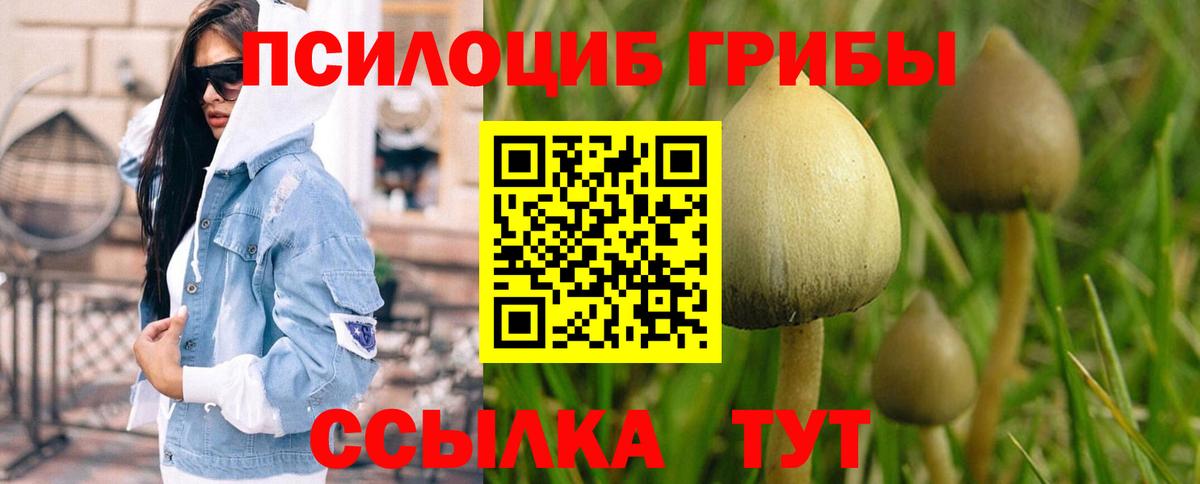 где можно купить наркотик  Псилоцибиновые грибы мухоморы  Вход с VPN  Нижневартовск 